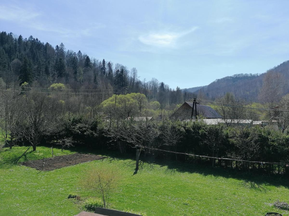 Agroturystyka Pod Kasztanem Lutowiska Esterno foto