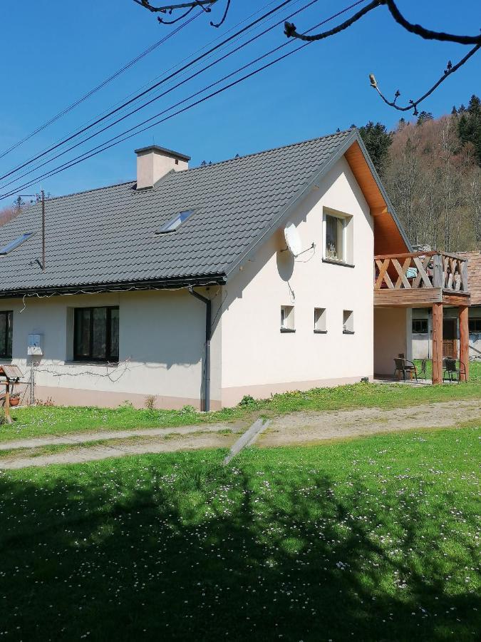 Agroturystyka Pod Kasztanem Lutowiska Esterno foto
